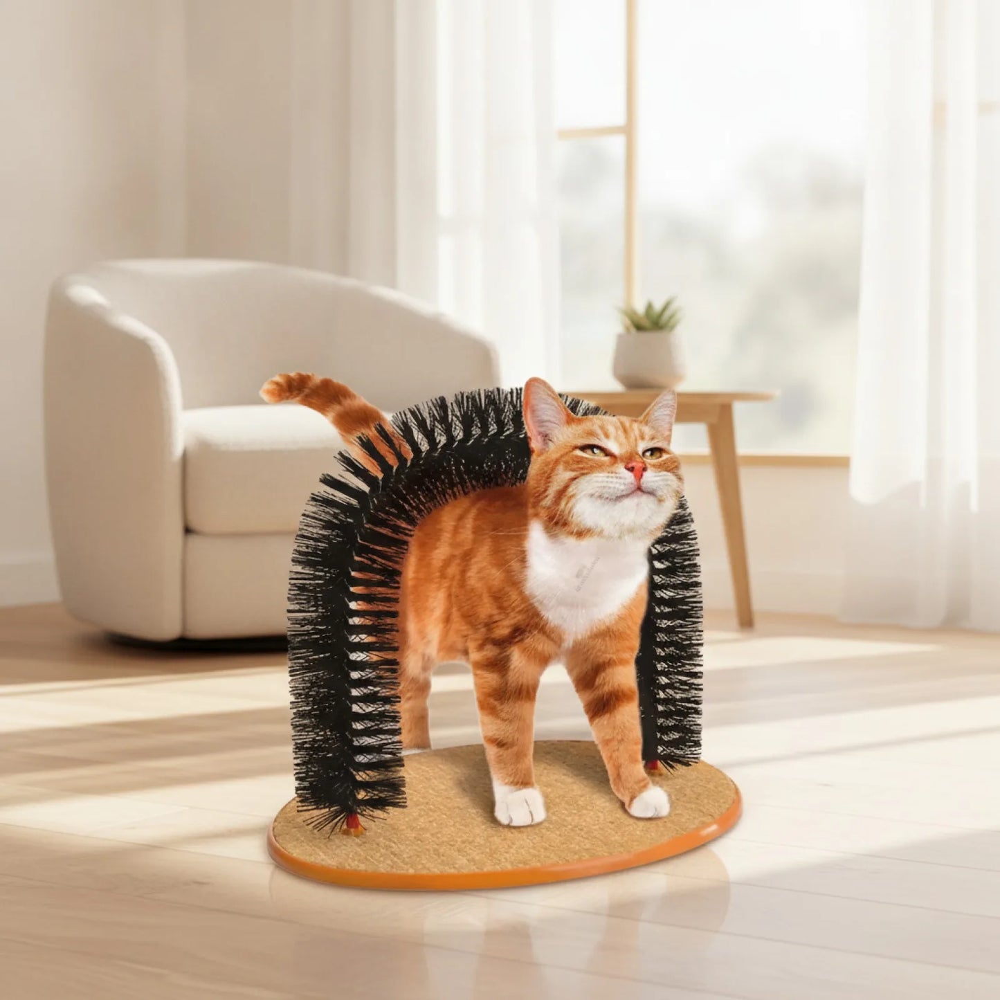Arche Jouet Auto-Massante pour Chat