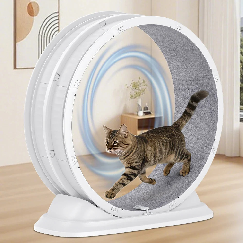 Roue d'Exercice Silencieuse pour Chat