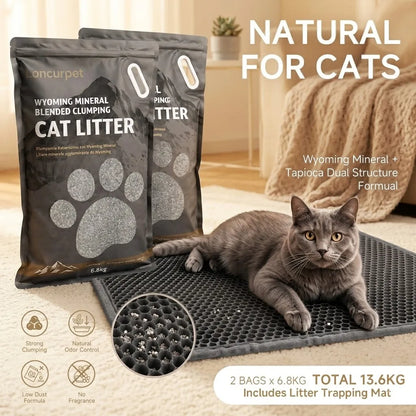 Litière Agglomérante Wyoming & Tapis EVA : Duo Propreté Chat