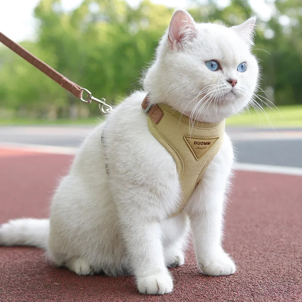 Harnais et Laisse Respirant pour Chiens et Chats