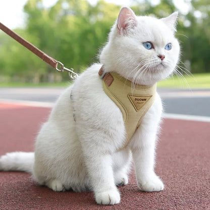 Harnais et Laisse Respirant pour Chiens et Chats