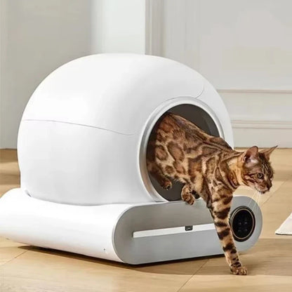 Litière Automatique Intelligente OVOZI