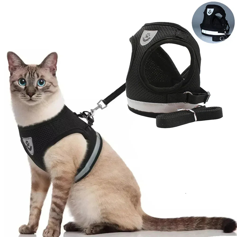 Harnais et Laisse Chat : Confort & Sécurité