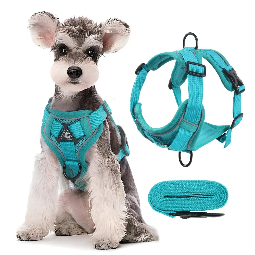 Harnais & Laisse Réfléchissant pour Chiens et Chats