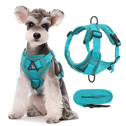 Harnais & Laisse Réfléchissant pour Chiens et Chats