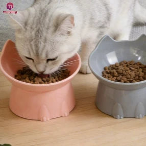 Gamelle surélevée inclinée pour chat