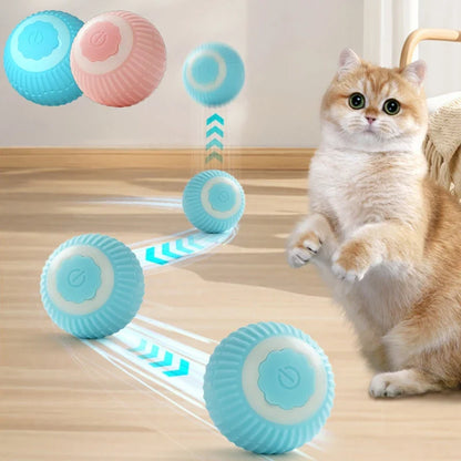 Balle Magique Interactive pour Chat