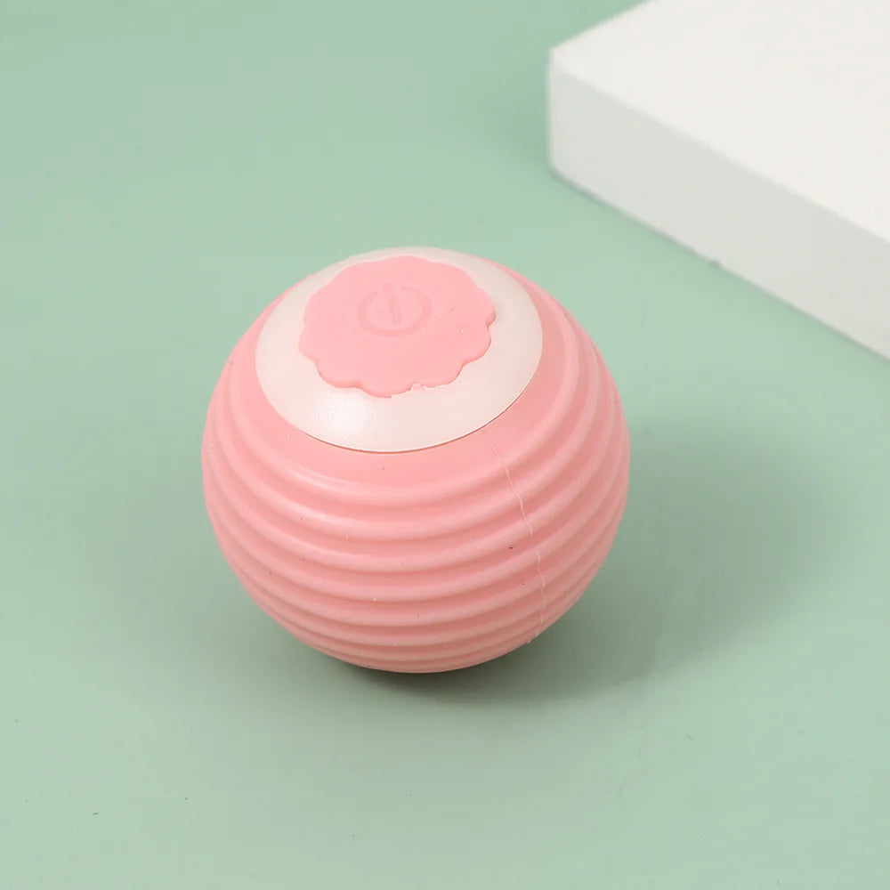 Balle Magique Interactive pour Chat