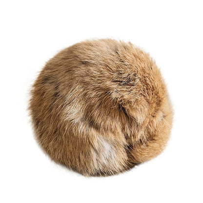 Balle Jouet Chat Fausse Fourrure Herbe à Chat