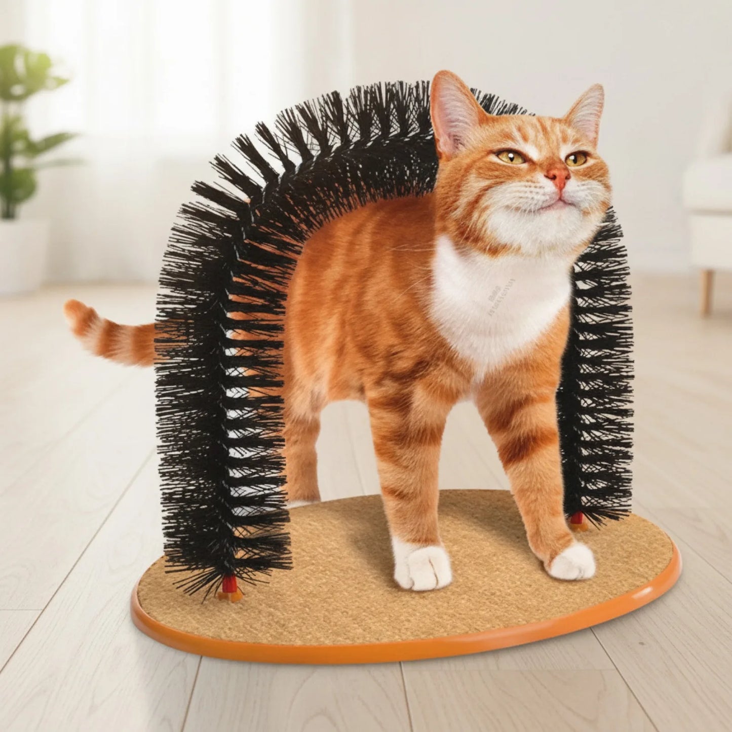 Arche Jouet Auto-Massante pour Chat