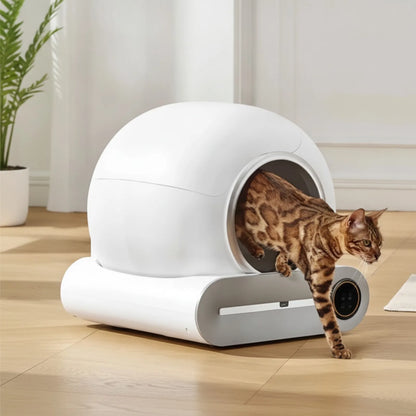 Litière Automatique Intelligente OVOZI