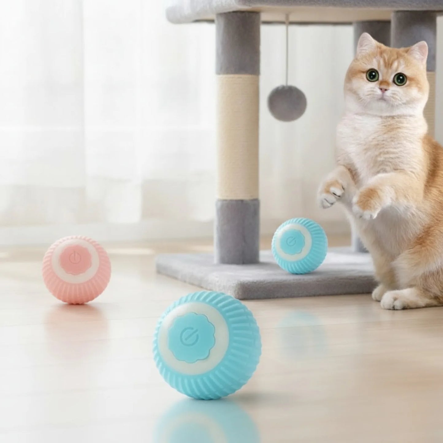Balle Magique Interactive pour Chat