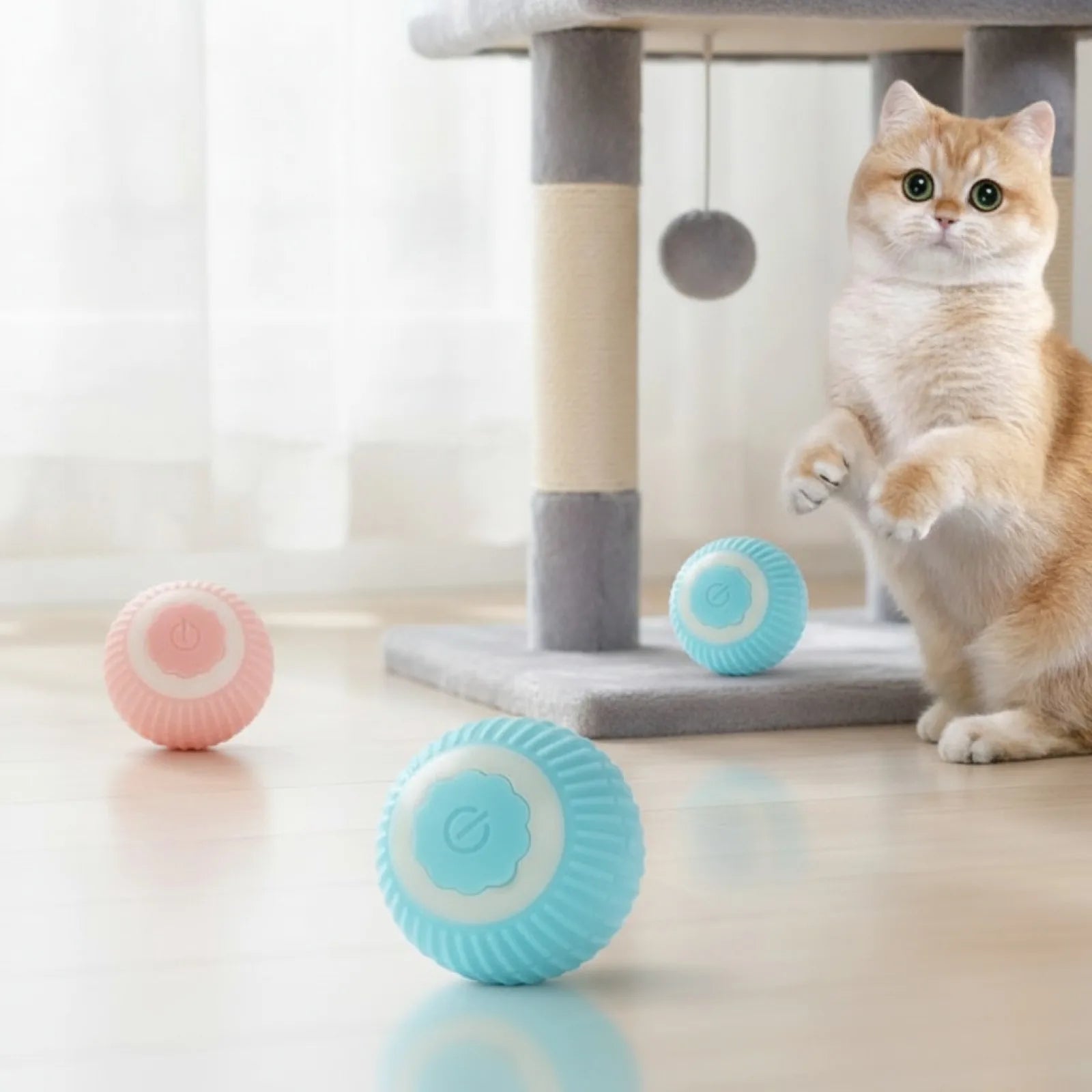 Balle Magique Interactive pour Chat