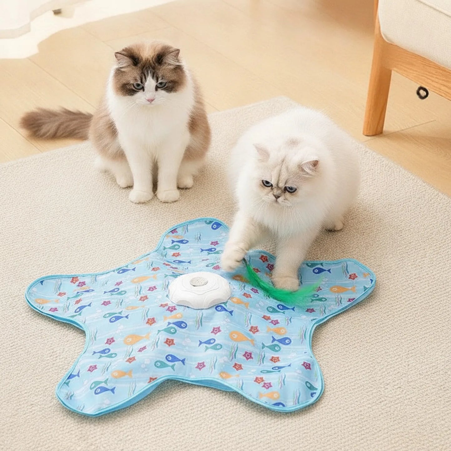 Jouet Interactif Automatique Chat Macroupta
