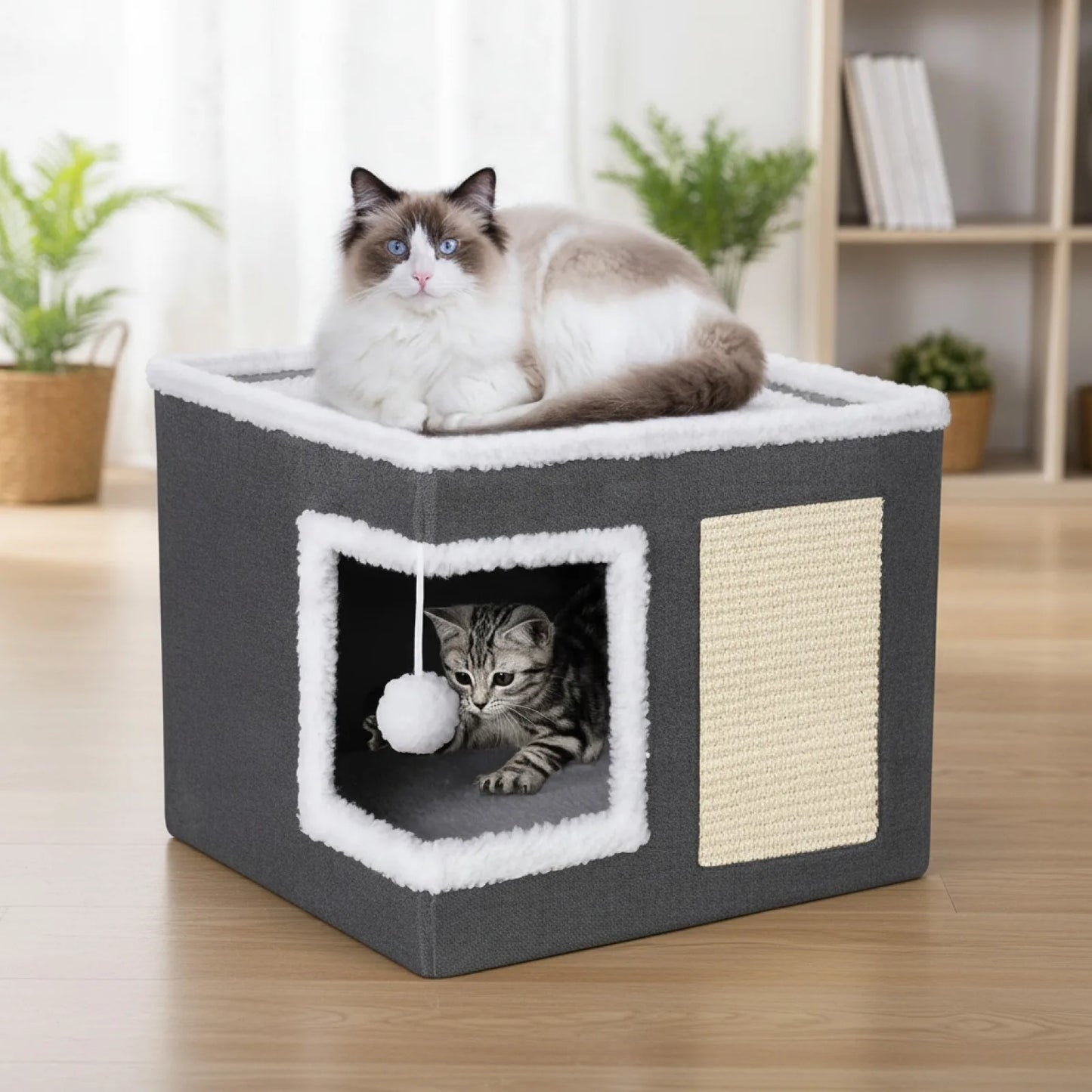 Caverne Confortable Chat : Refuge Douillet avec Griffoir