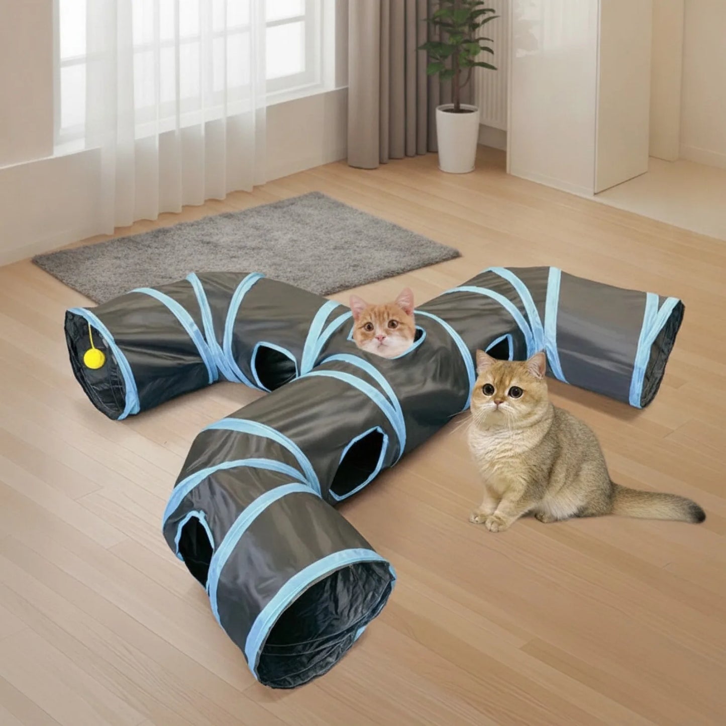 Tunnel Dragon pour Chat - Jeu et Exploration