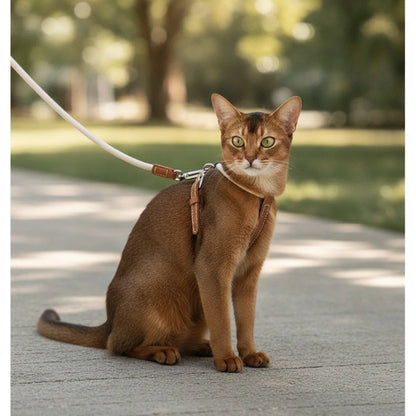 Harnais et Laisse Chat Cuir - Confort & Sécurité