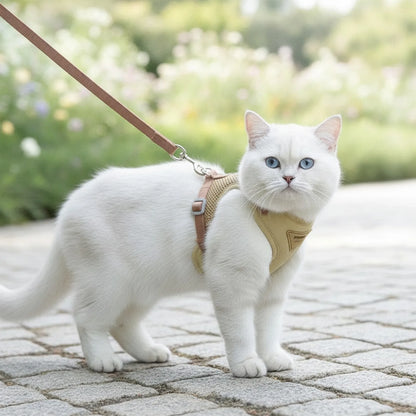 Harnais et Laisse Respirant pour Chiens et Chats