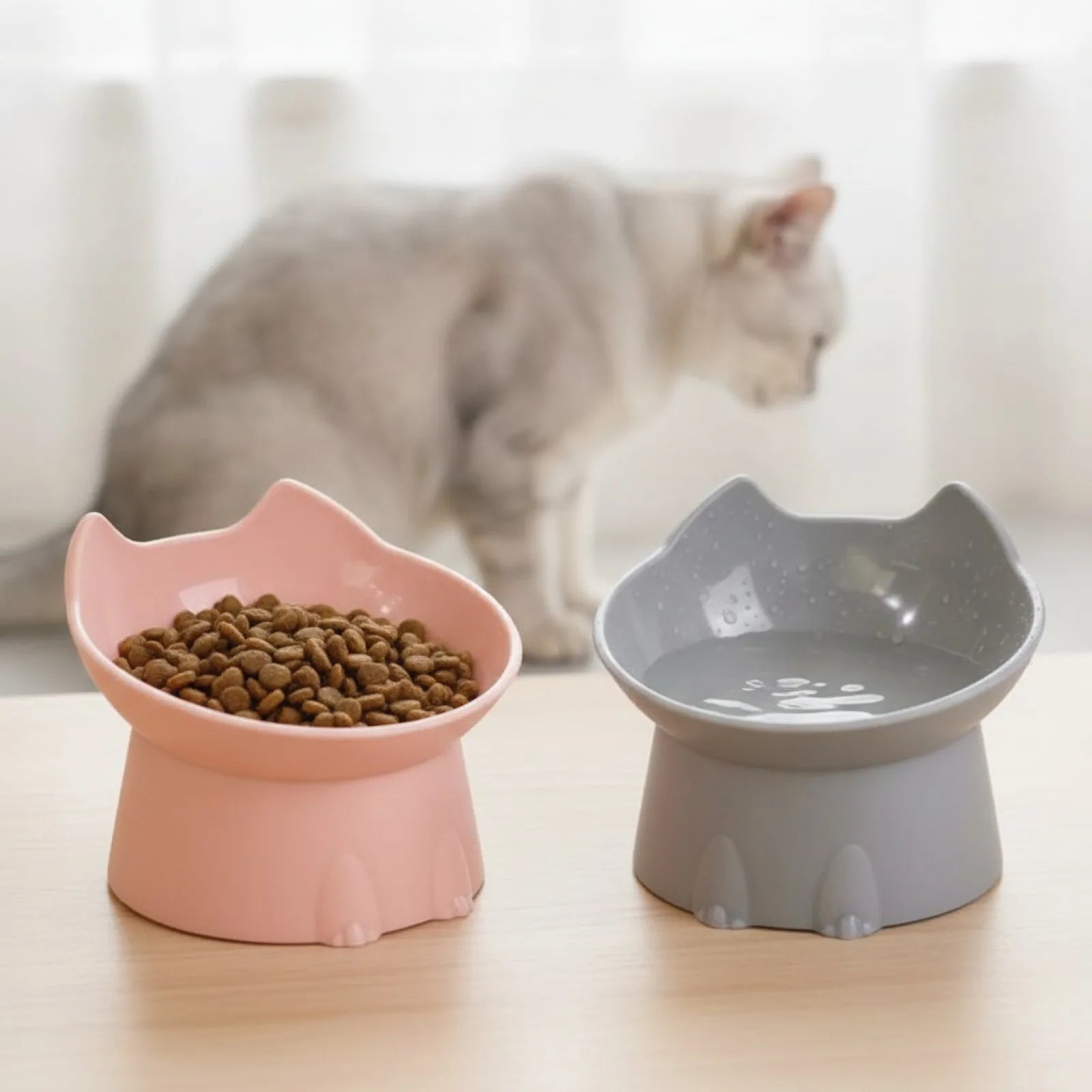 Gamelle surélevée inclinée pour chat
