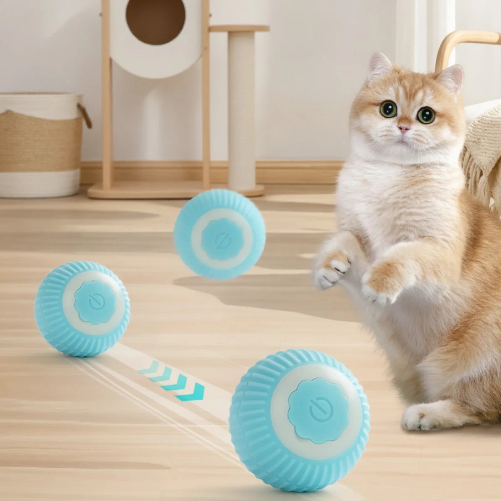 Balle Magique Interactive pour Chat