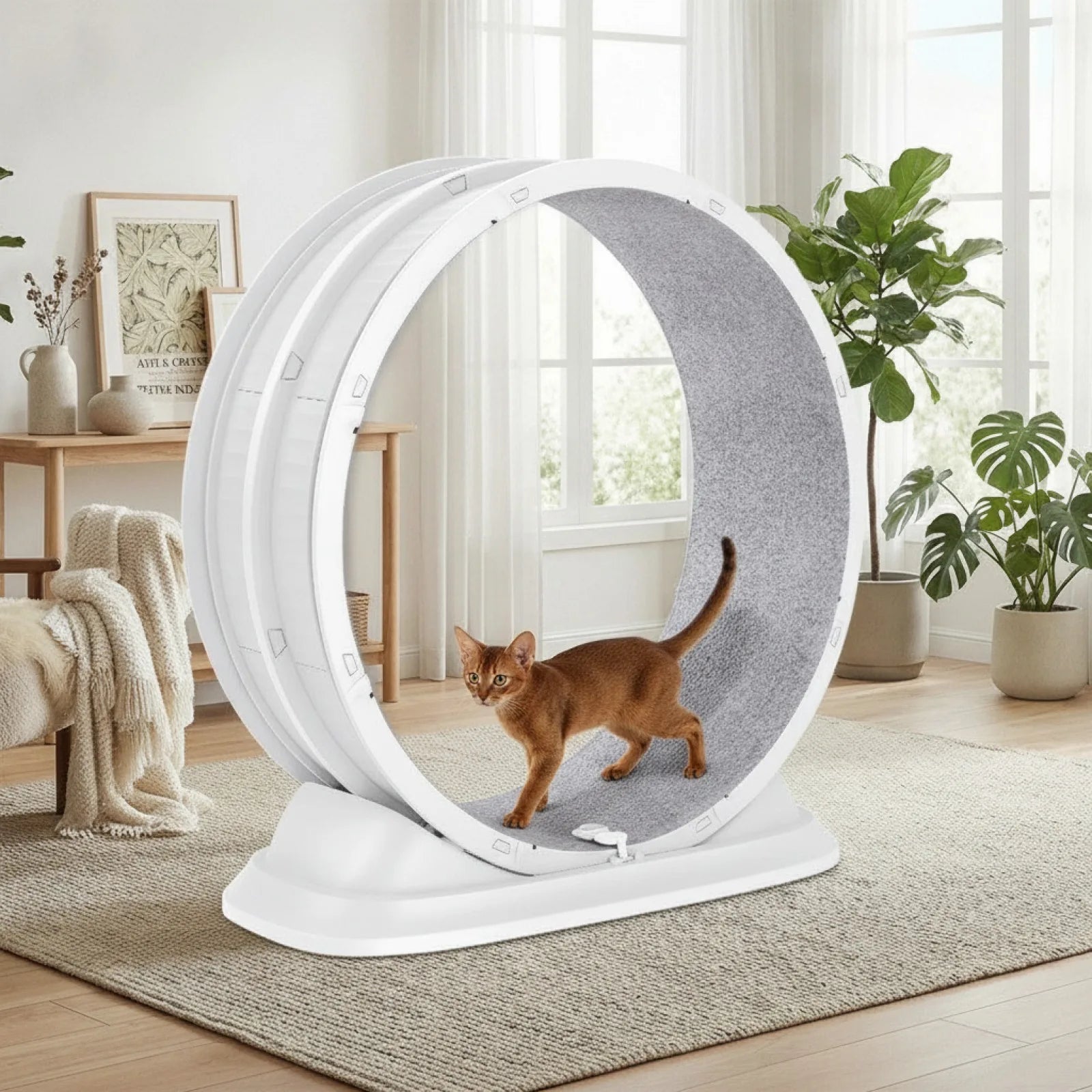 Roue d'Exercice Silencieuse pour Chat