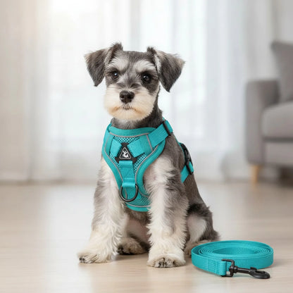 Harnais & Laisse Réfléchissant pour Chiens et Chats