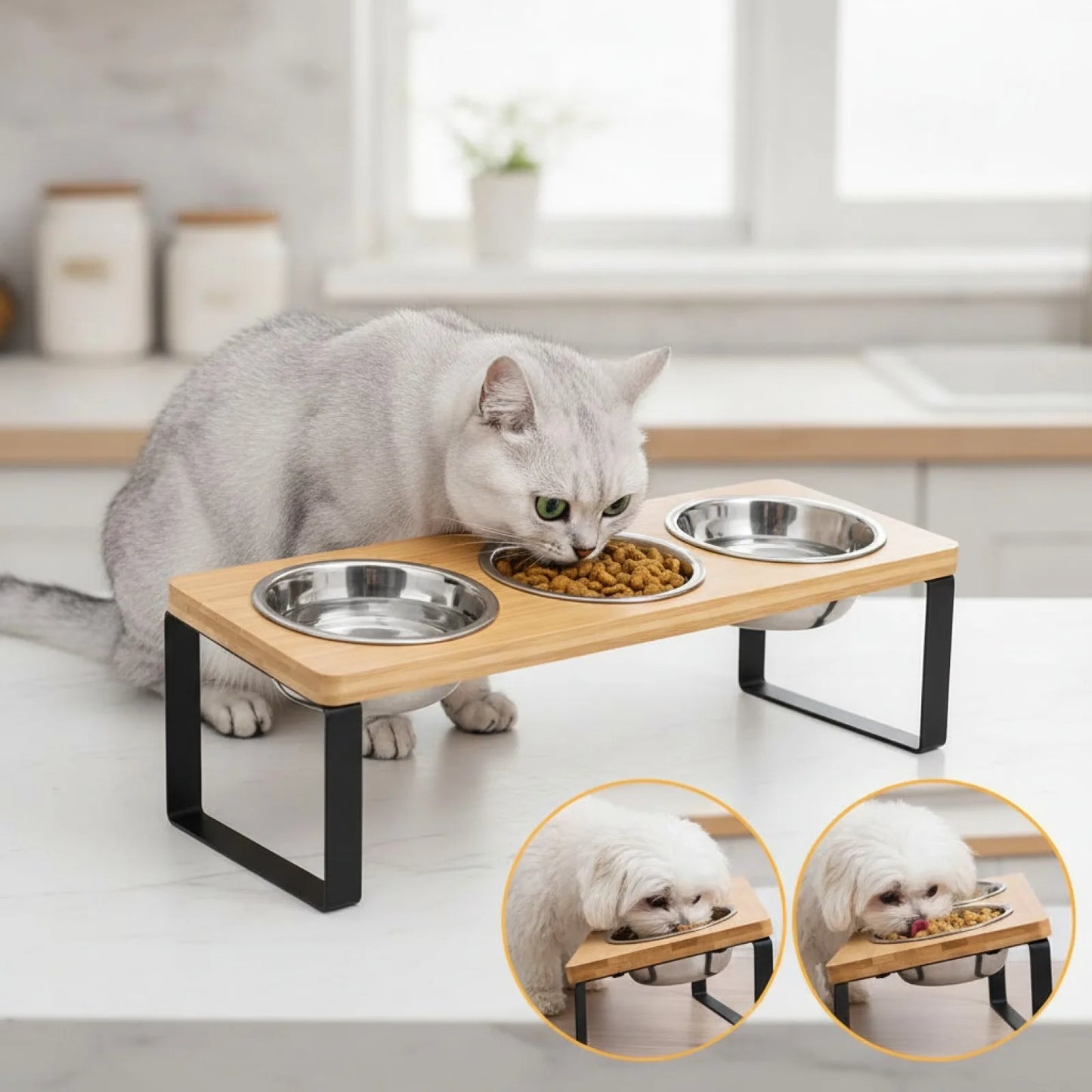 Gamelle surélevée inclinée 3 bols pour chats et petits chiens