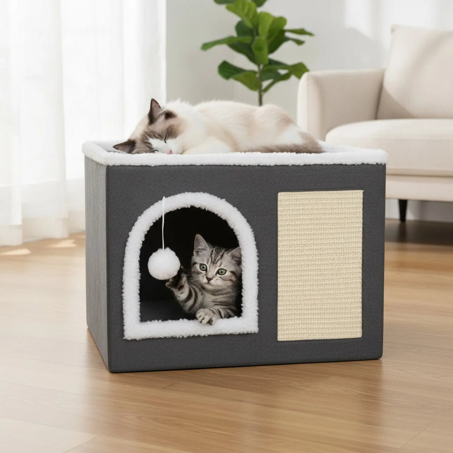 Caverne Confortable Chat : Refuge Douillet avec Griffoir