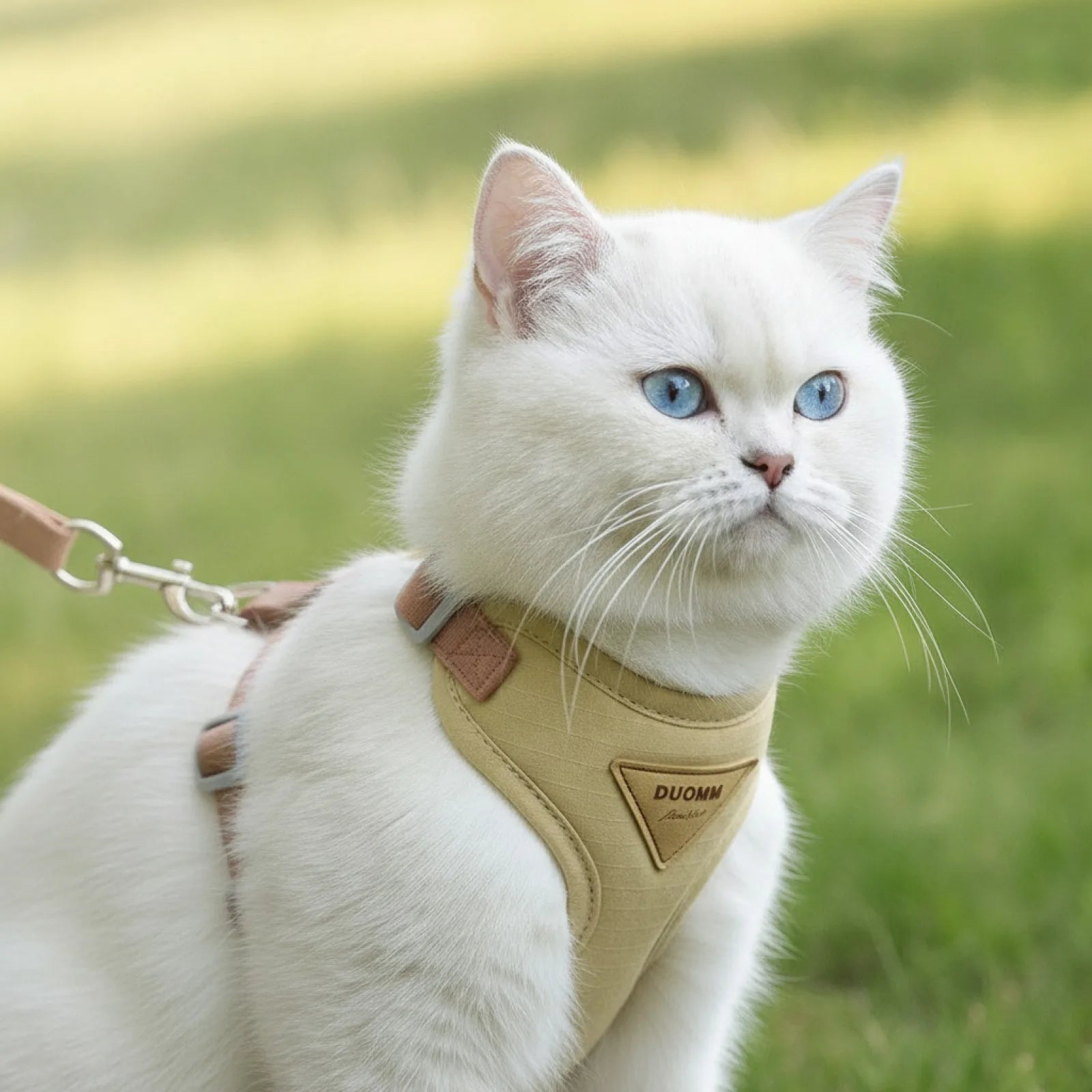 Harnais et Laisse Respirant pour Chiens et Chats