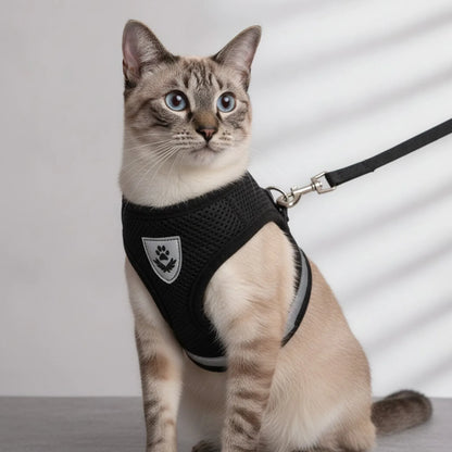 Harnais et Laisse Chat : Confort & Sécurité
