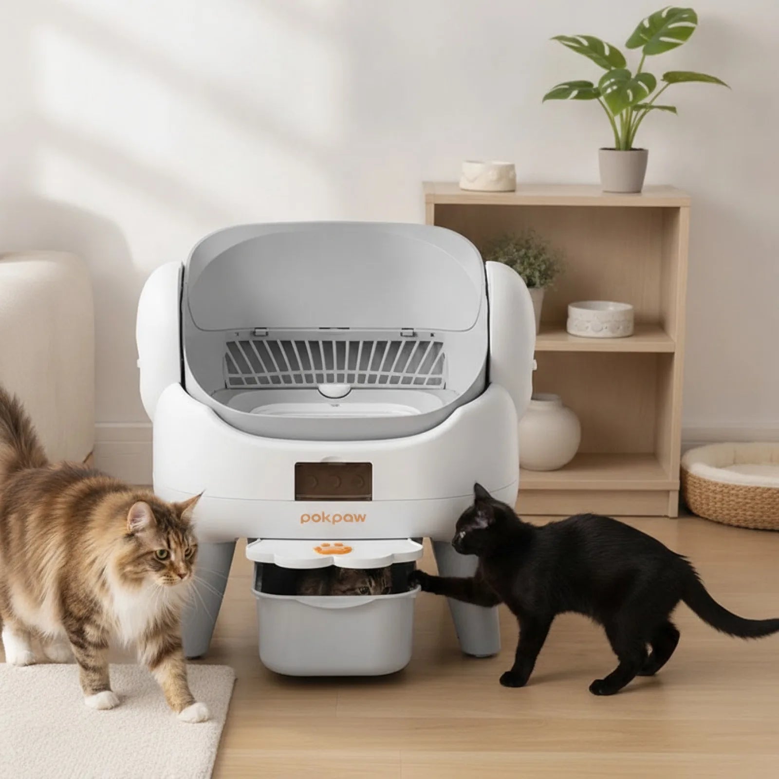 Litière Automatique Chat Pokpaw CL23 - Autonettoyante & Connectée