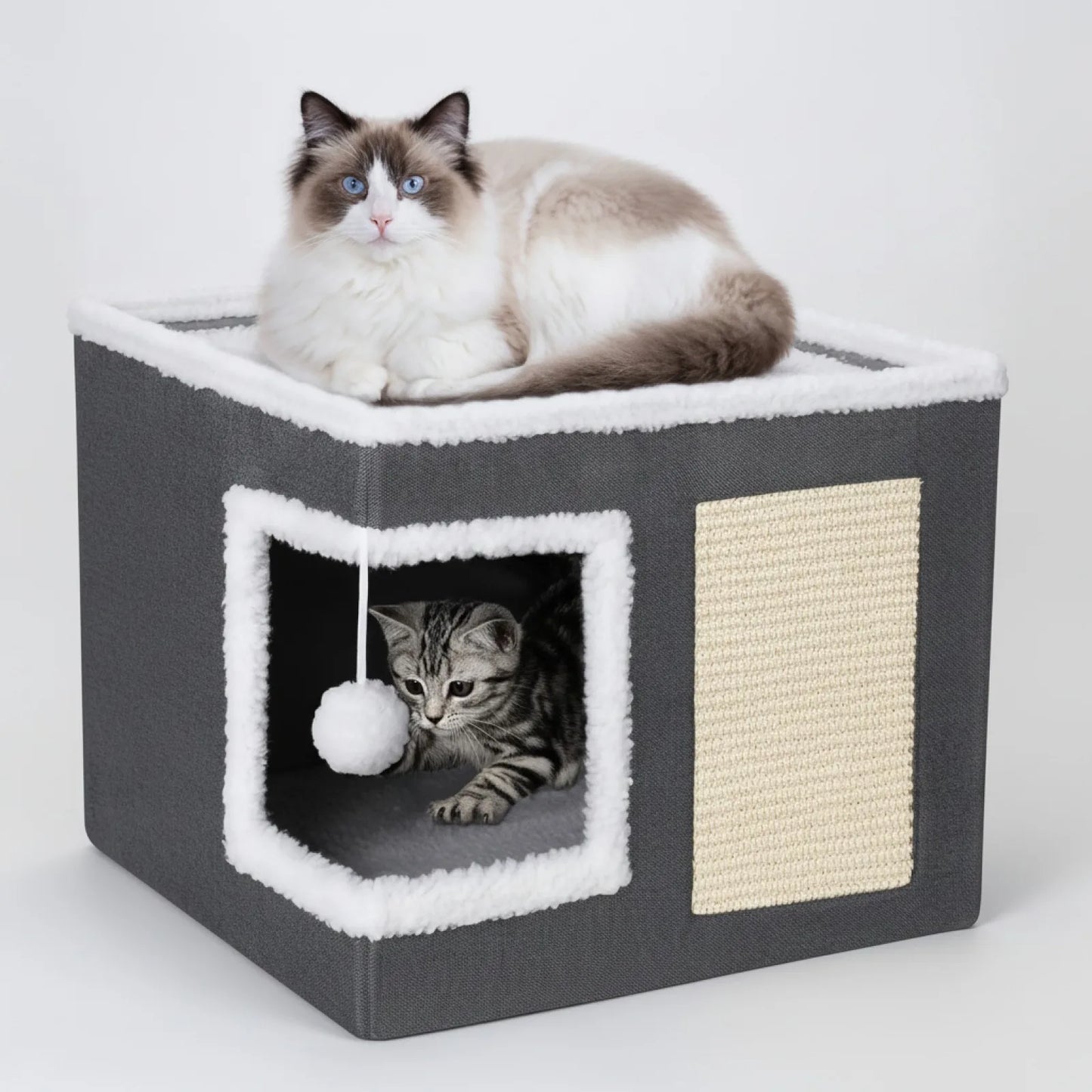 Caverne Confortable Chat : Refuge Douillet avec Griffoir