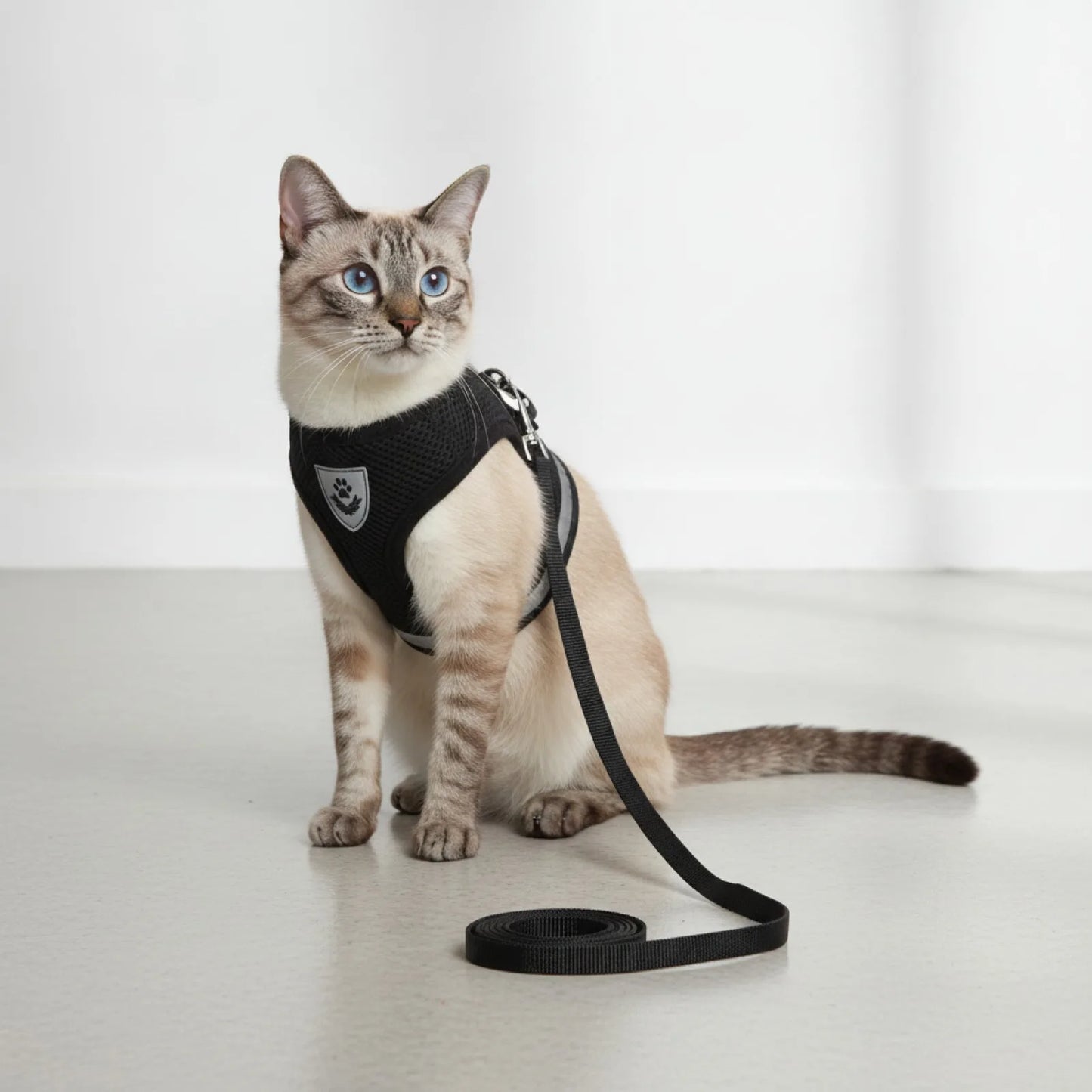 Harnais et Laisse Chat : Confort & Sécurité