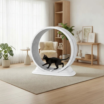 Roue d'Exercice Silencieuse pour Chat