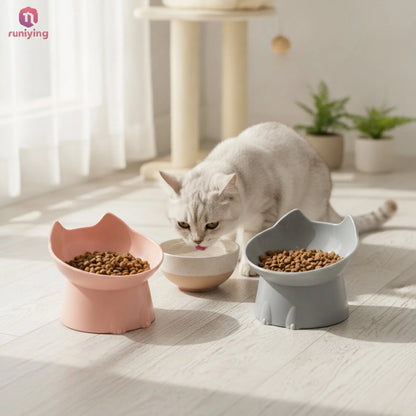 Gamelle surélevée inclinée pour chat