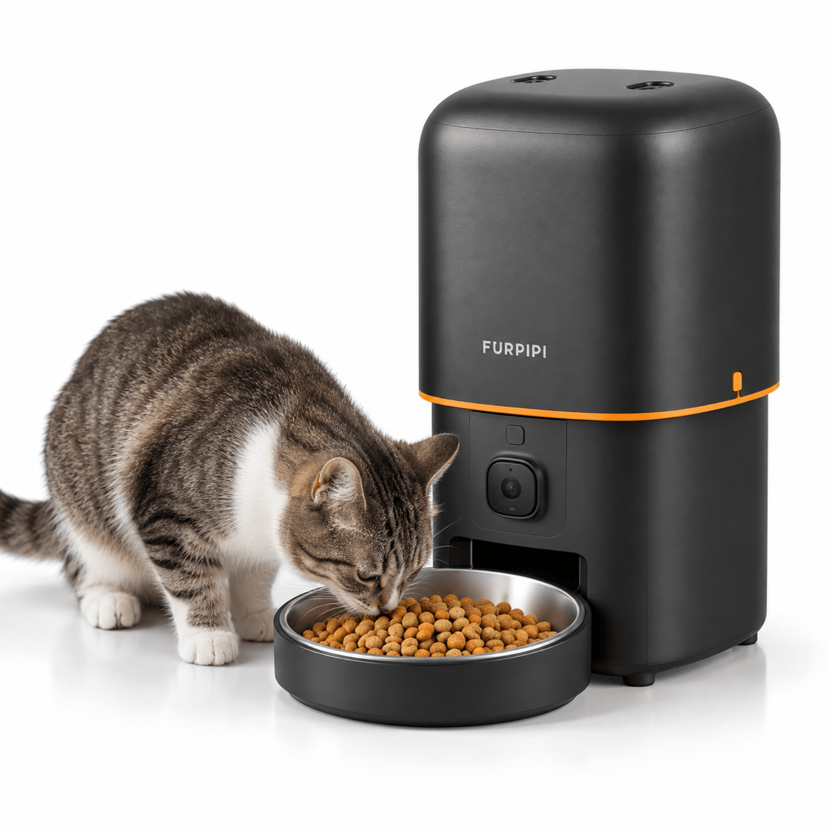 Distributeur Automatique Chat FURPIPI