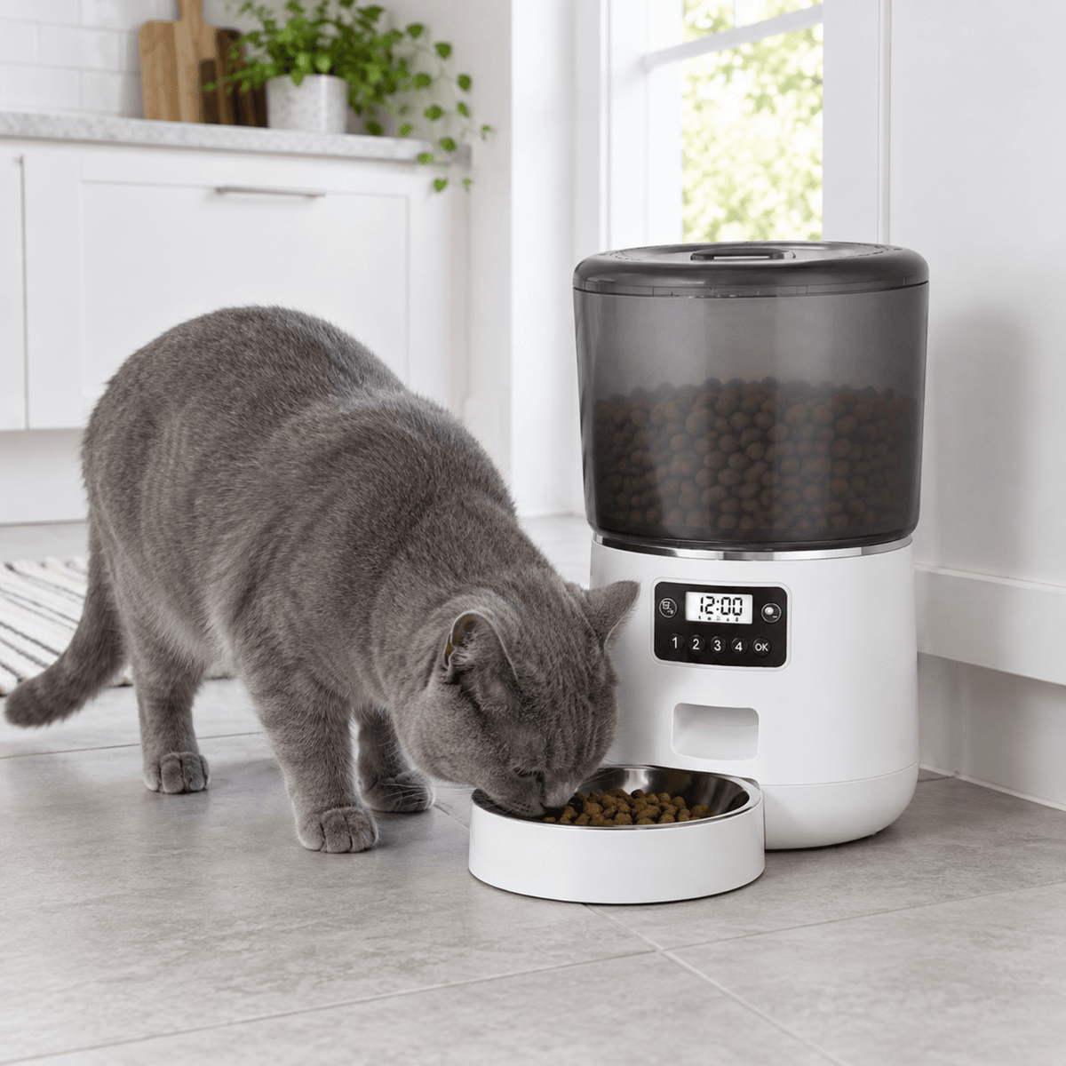Distributeur de croquettes Chat Micro 4 L Automatique