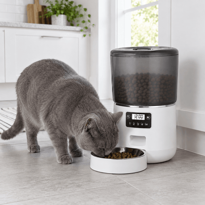 Distributeur de croquettes Chat Micro 4 L Automatique