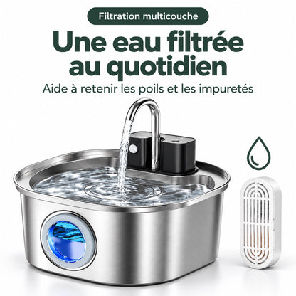 Fontaine à Eau Chat en Inox