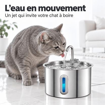 Fontaine à Eau Chat Inox 2.2L