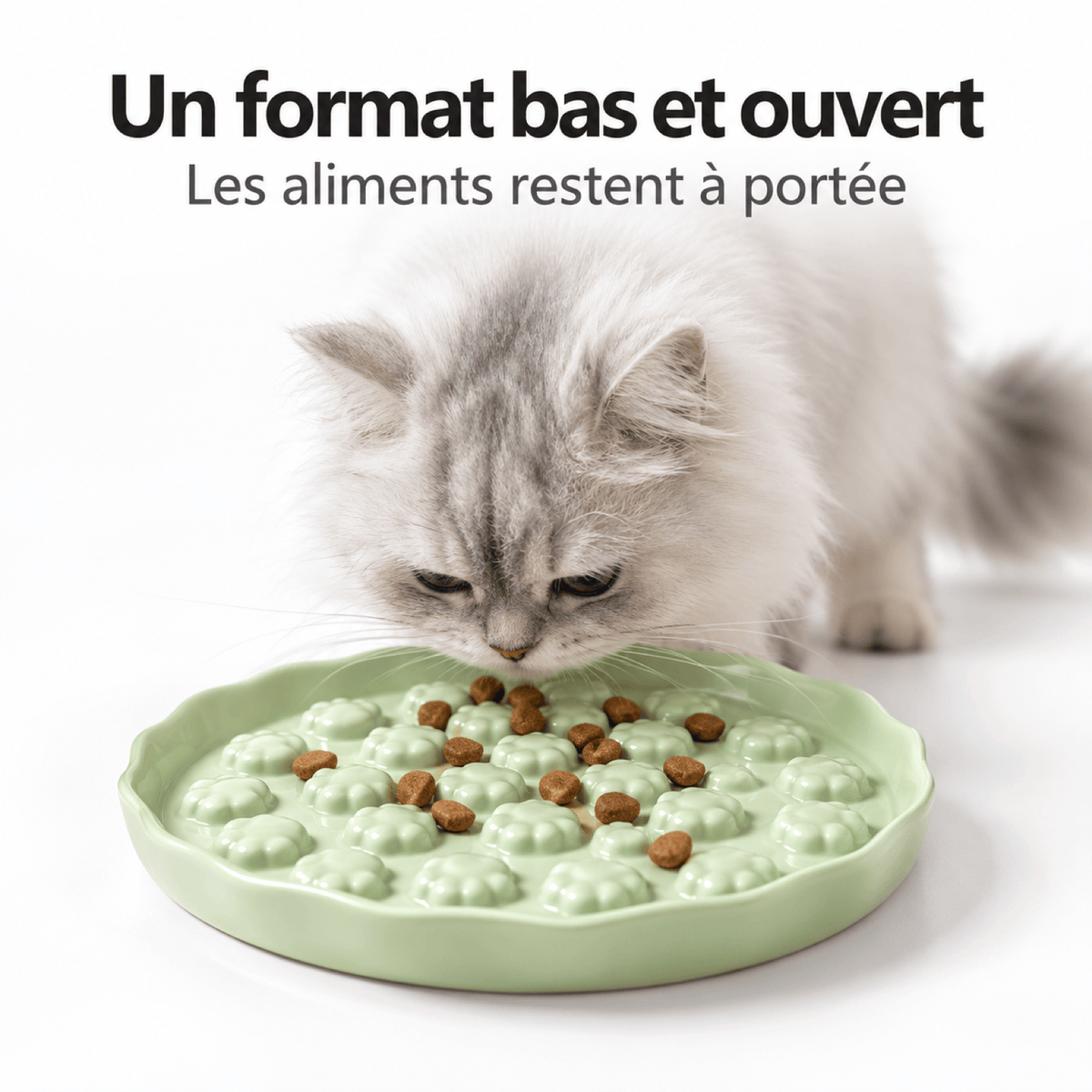 Gamelle anti-glouton Chat – Pattes Paisibles