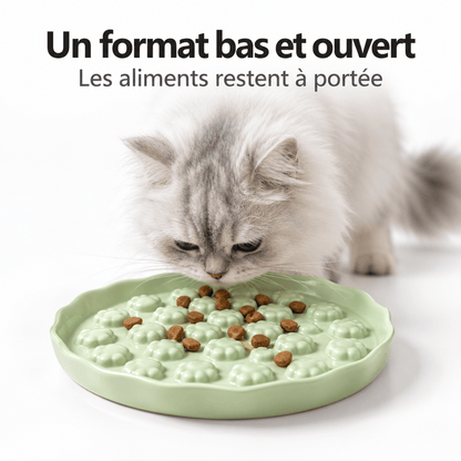 Gamelle anti-glouton Chat – Pattes Paisibles