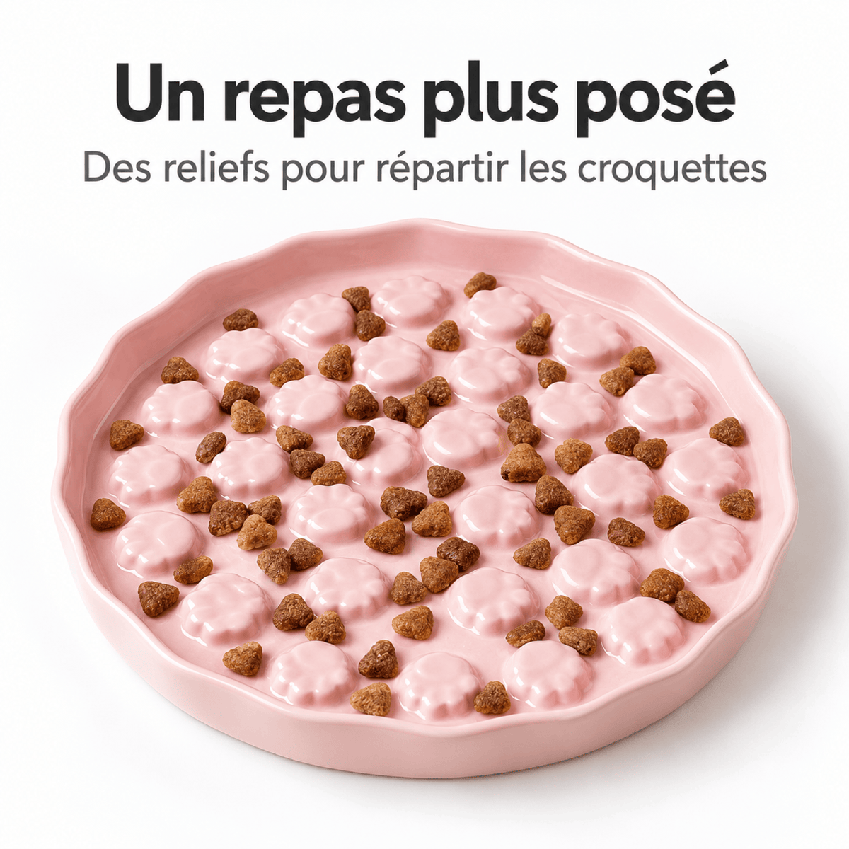 Gamelle anti-glouton Chat – Pattes Paisibles