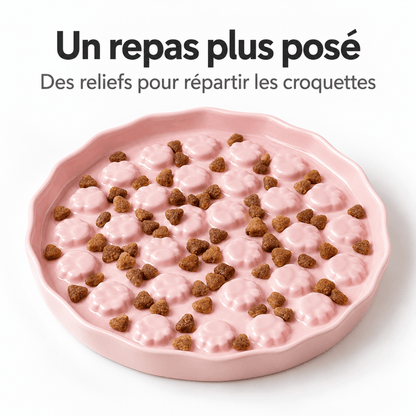 Gamelle anti-glouton Chat – Pattes Paisibles