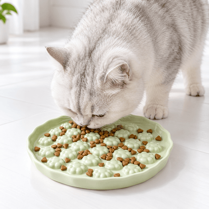 Gamelle anti-glouton Chat – Pattes Paisibles