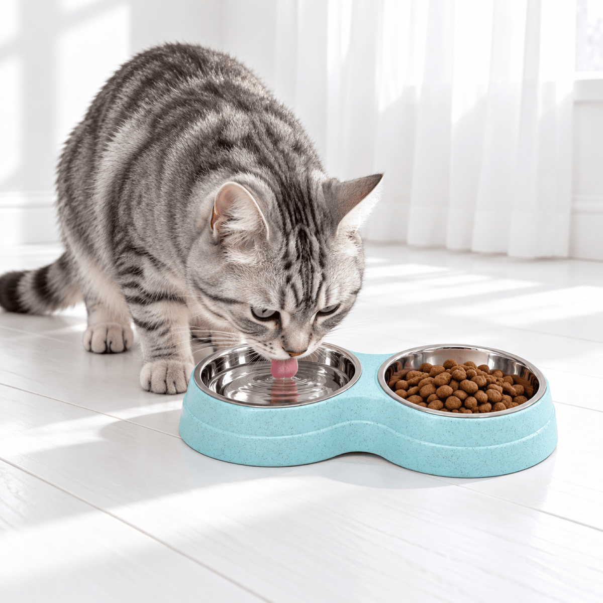 Gamelle Chat Double Inox – DuoRepas