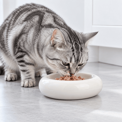 Gamelle Chat en Céramique – CéraDonut