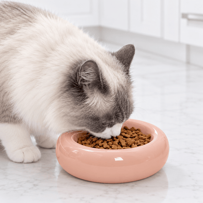 Gamelle Chat en Céramique – CéraDonut