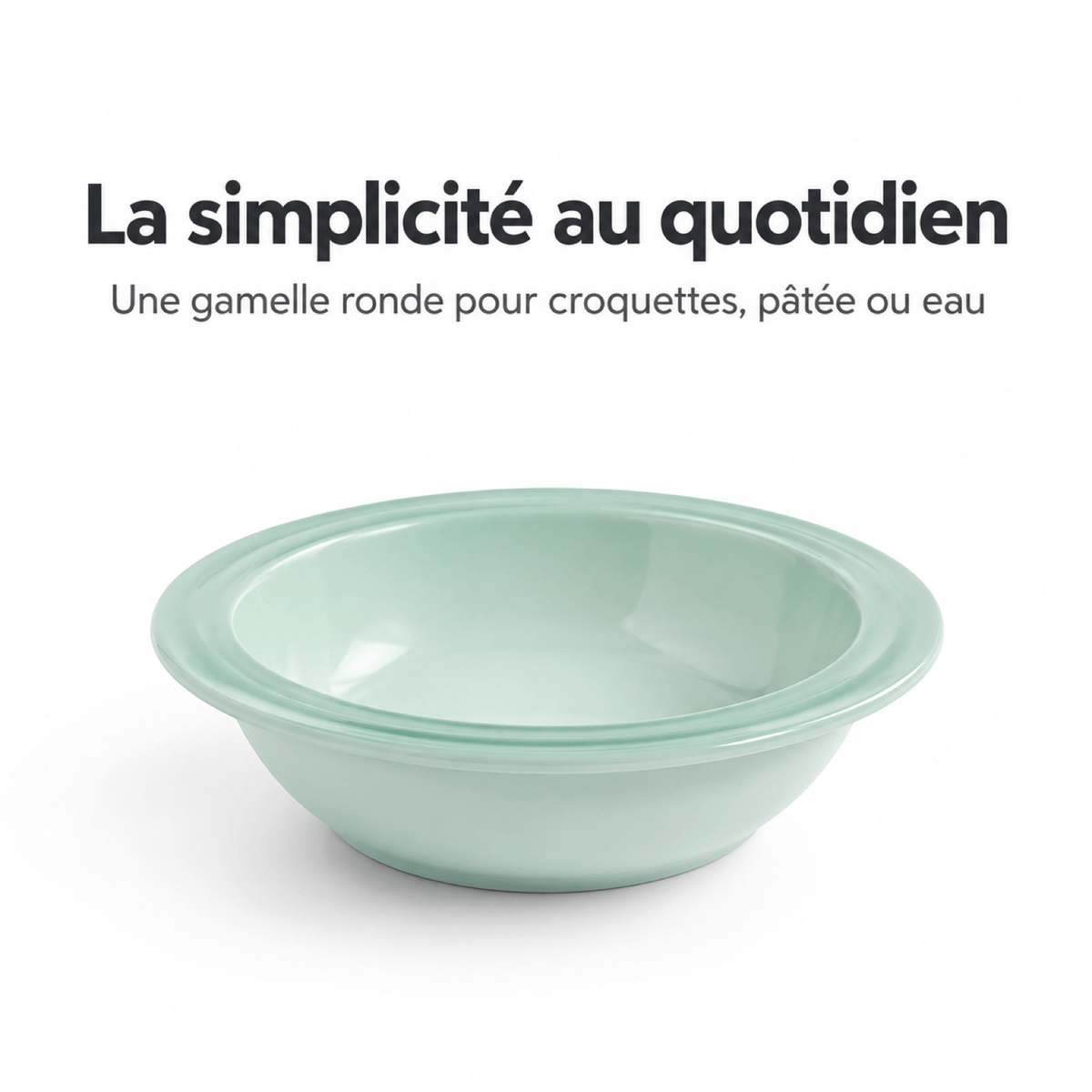Gamelle Chat - ModuloRepas
