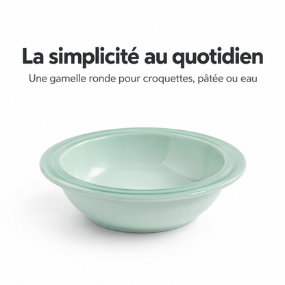 Gamelle Chat - ModuloRepas